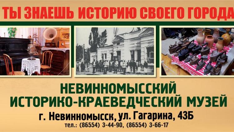 В Невинномысске историко-краеведческий музей проводит виртуальные экскурсии