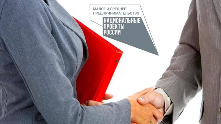 Более 250 млн рублей господдержки получит малый и средний бизнес Ставрополья