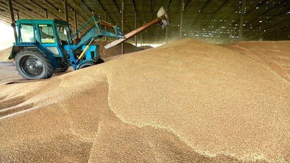6 миллионов тонн зерна собрали с 95% площадей ставропольские хлеборобы