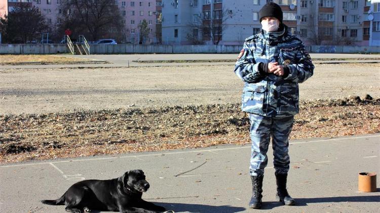 В Невинномысске полицейские кинологи продемонстрировали кадетам мастерство служебных собак