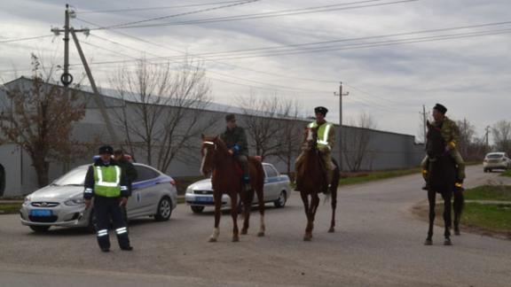 Конные казачьи патрули в Буденновском районе помогают Госавтоинспекции