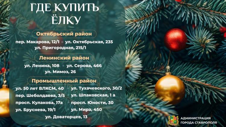 Адреса ёлочных базаров стали известны в Ставрополе