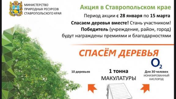 Железноводск поборется за место в «зелёном» рейтинге городов