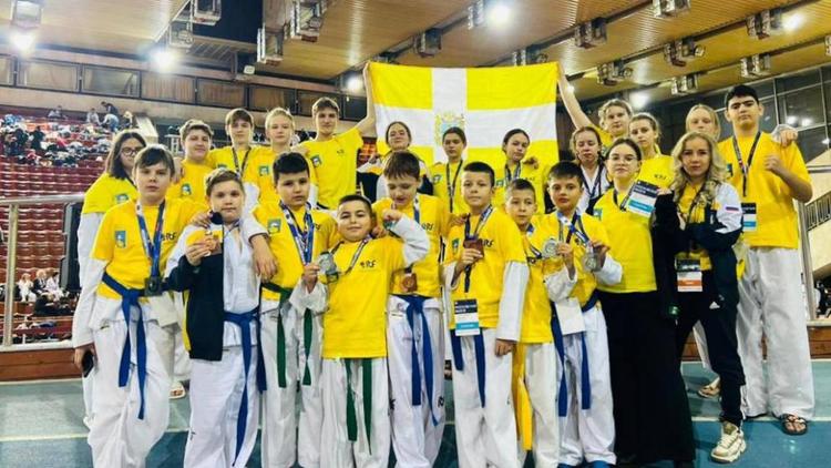 Юные спортсмены Ставрополя добились успехов в турнире по тхэквондо