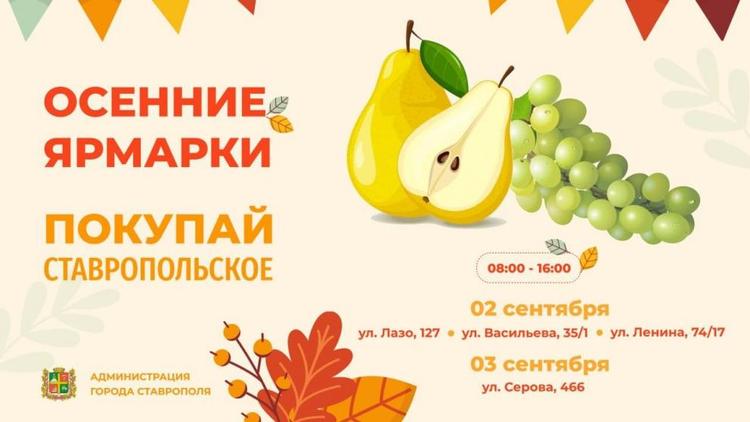 Сразу четыре ярмарки пройдут в Ставрополе на выходных