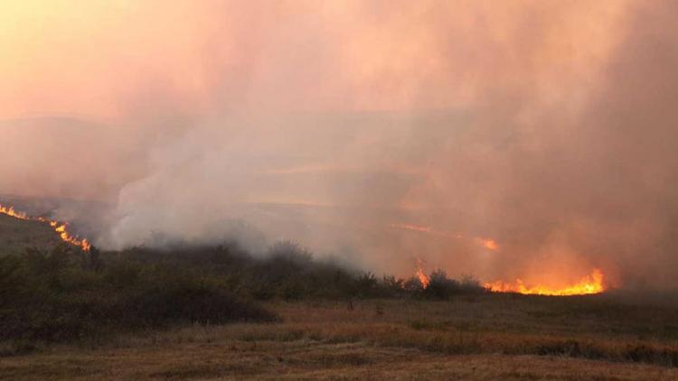 Лесных пожаров на Ставрополье стало в два раза меньше