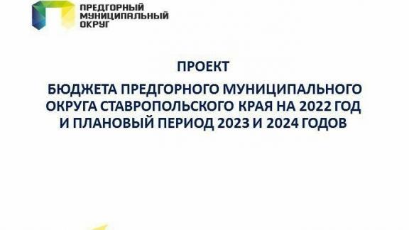 Жители Предгорья на Ставрополье обсуждают бюджет округа на 2022 год в соцсетях