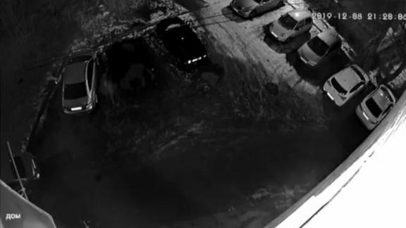 На парковке в Ставрополе завёлся автомобильный вандал