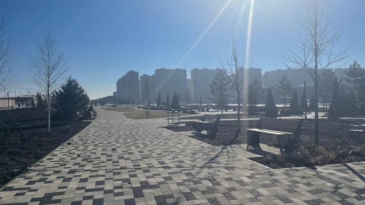 Около половины территории нового бульвара Щипакина в Ставрополе озеленят