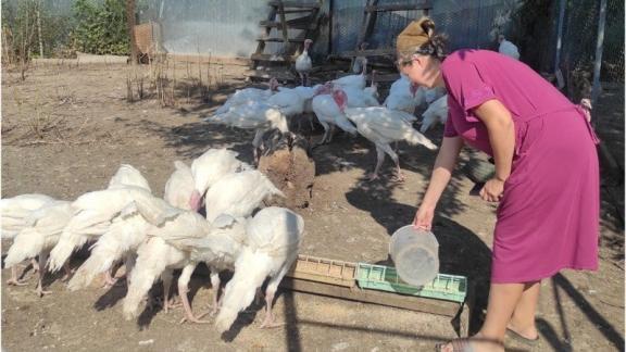 Семья из Александровского округа Ставрополья благодаря соцконтракту осваивает птицеводство