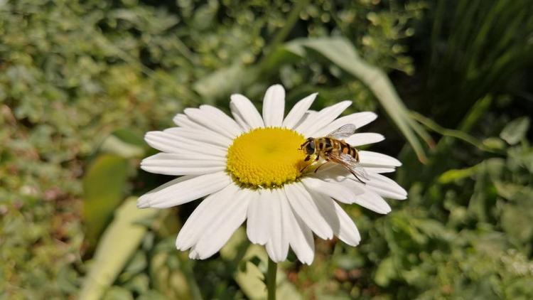 Социальный контракт помог ставропольским пчеловодам в развитии бизнеса