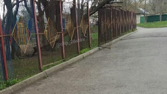Из-за ветра в Ставрополе на детскую площадку упало дерево